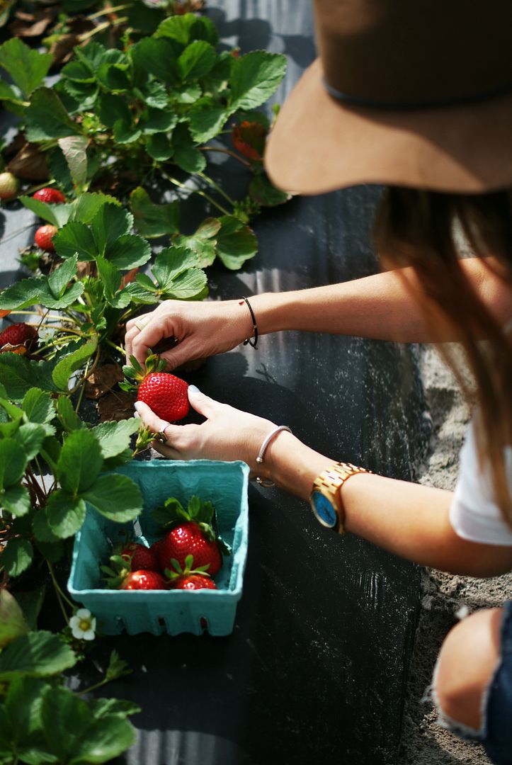 Sequins and Sea Breezes Strawberry Weekend